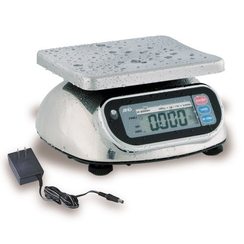 Stainless Steel Washdown Scale