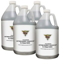 Workhorse Case of 4 E2 Foaming Antimicrobial Handsoap - Gallon Bottles