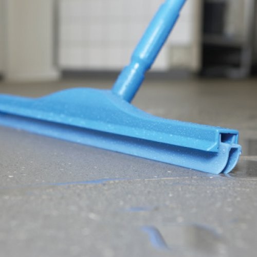 Hygienic 250mm Hand Squeegee 2C Blade, Buy, Suppliers
