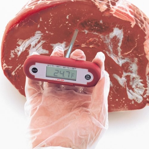 Big Red Water-Resistant, T-Handle Pocket Thermometer