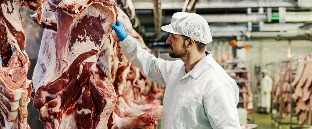 What Kind of Quality Control Does a Meat Processing Plant Need?